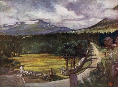 Norveç: Aune