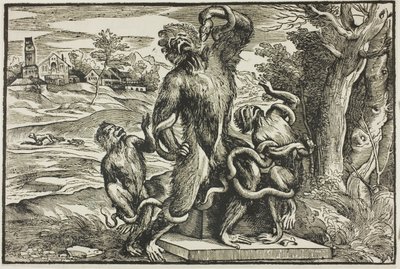 Laöcoon by Nicolò Boldrini