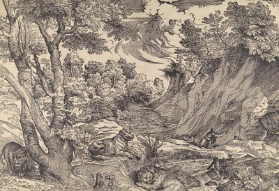 Vahşi doğada Aziz Jerome, 16. yüzyılın ortaları., 16. yüzyılın ortaları. by Nicolò Boldrini.