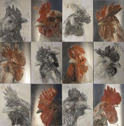  by Nicola Pucci