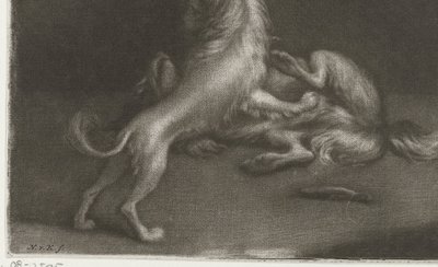 iki oynayan köpek by Nicolaas Verkolje