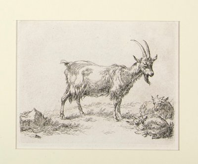 6 gravür by Nicolaes Berchem