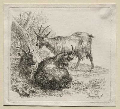 Animalia: Üç Keçi by Nicolaes Berchem