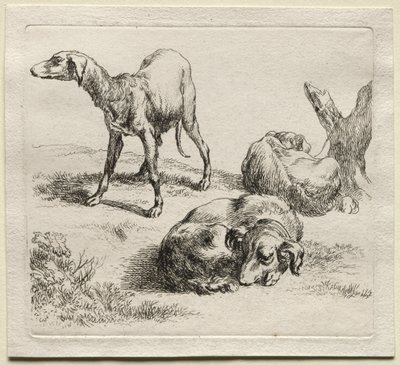 Animalia: Üç Av Köpeği by Nicolaes Berchem