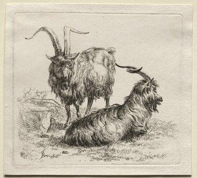 Animalia: İki Keçi by Nicolaes Berchem