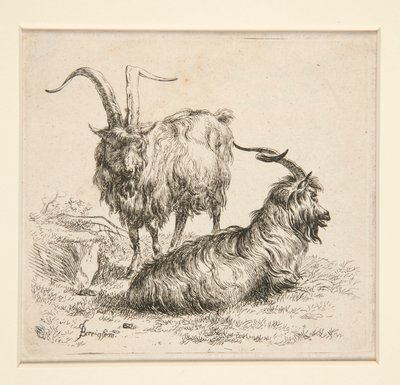 Keçiler (dan by Nicolaes Berchem