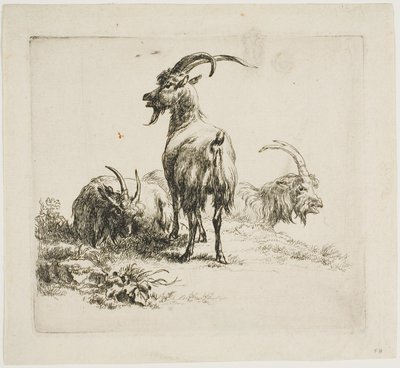 Çeşitli Hayvanlardan Keçiler by Nicolaes Berchem
