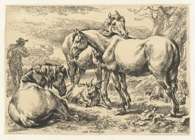 üç at Hayvanlar (dizi adı) by Nicolaes Pietersz Berchem