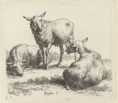 kuru schapen Schapen (dizi adı) Studio ve Arte Nicolai Berchemi tarafından basılan, su ve kudretli gökyüzü ile betimlenen canlılar için hayvanlar (seri başlığı) by Nicolaes Pietersz Berchem