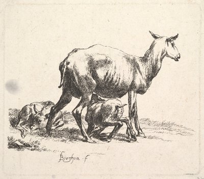 Kuzu Beslemeli Koyun. by Nicolaes Pietersz. Berchem