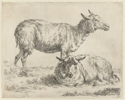 Staand en liggend schaap Schape by Nicolaes Pietersz Berchem