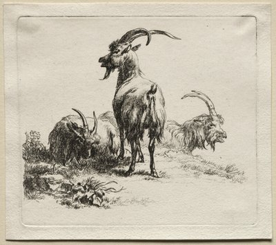 Üç Keçi. by Nicolaes Pietersz. Berchem