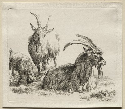 Üç Keçi. by Nicolaes Pietersz. Berchem