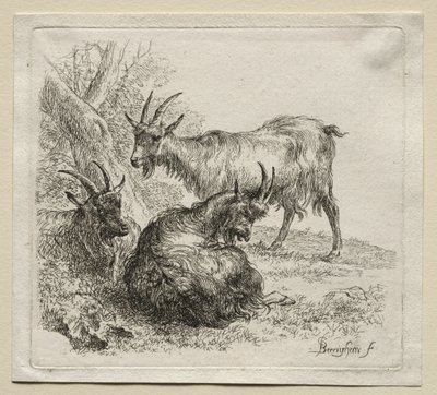 Üç Keçi. by Nicolaes Pietersz. Berchem