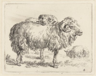 Twee rammen en een schaap Schapen (dizi adı) Studio ve Arte Nicolai Berchemi tarafından basılan, su ve kudretli gökyüzü ile betimlenen canlılar için hayvanlar (seri başlığı) by Nicolaes Pietersz Berchem
