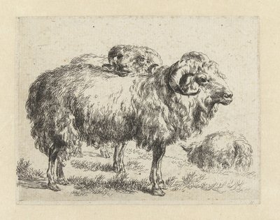 Twee rammen en een schaap Schapen (dizi adı) Studio ve Arte Nicolai Berchemi tarafından basılan, su ve kudretli gökyüzü ile betimlenen canlılar için hayvanlar (seri başlığı) by Nicolaes Pietersz Berchem
