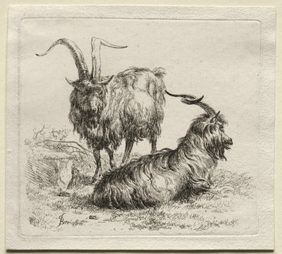 İki Keçi. by Nicolaes Pietersz. Berchem