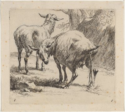 İki Koyun, Bir İşeme by Nicolaes Pietersz Berchem