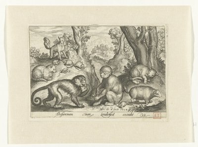 Maymunlar, kediler ve fareler Animalivm qvadrvpedvm (dizi başlığı) Manzaralardaki hayvanlar (dizi başlığı) by Nicolaes de Bruyn