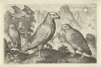 Kartal ve diğer yırtıcı kuşlar Kuşlar ve böcekler (dizi adı) by Nicolaes de Bruyn