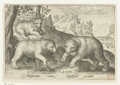üç ayı Animalivm qvadrvpedvm (dizi başlığı) Manzaralardaki hayvanlar (dizi başlığı) by Nicolaes de Bruyn