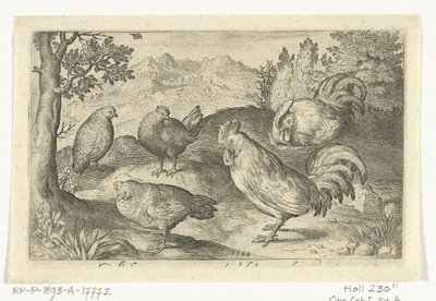 Üç tavuk ve iki horoz Kuşlar ve böcekler (dizi adı) by Nicolaes de Bruyn