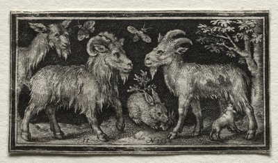 Keçiler ve Tavşan, 1594. by Nicolaes de Bruyn