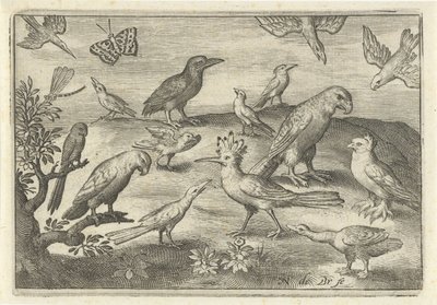 şerbetçiotu ve diğer kuşlar Kuşlar ve böcekler (dizi adı) by Nicolaes de Bruyn