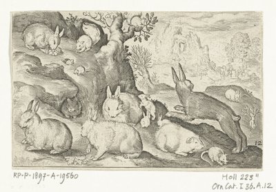 Tavşanlar, sincap, kobay ve fare Animalivm qvadrvpedvm (dizi başlığı) Manzaralardaki hayvanlar (dizi başlığı) by Nicolaes de Bruyn