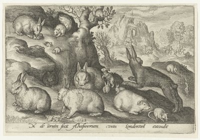 Tavşanlar, sincap, kobay ve fare Animalivm qvadrvpedvm (dizi başlığı) Manzaralardaki hayvanlar (dizi başlığı) by Nicolaes de Bruyn
