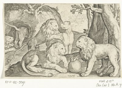 aslanlar Animalivm qvadrvpedvm (dizi başlığı) Manzaralardaki hayvanlar (dizi başlığı) by Nicolaes de Bruyn