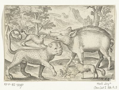 Leopar, yaban domuzu ve köpekler Animalivm qvadrvpedvm (dizi başlığı) Manzaralardaki hayvanlar (dizi başlığı) by Nicolaes de Bruyn