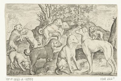 dokuz köpek Animalivm qvadrvpedvm (dizi başlığı) Manzaralardaki hayvanlar (dizi başlığı) by Nicolaes de Bruyn