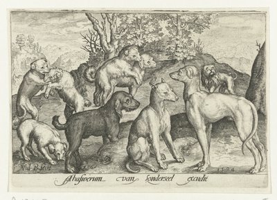 dokuz köpek Animalivm qvadrvpedvm (dizi başlığı) Manzaralardaki hayvanlar (dizi başlığı) by Nicolaes de Bruyn