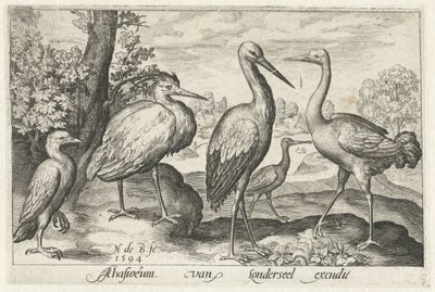 Leylek, vinç, balıkçıl ve kaşıkçı Kuşlar ve böcekler (dizi adı) by Nicolaes de Bruyn