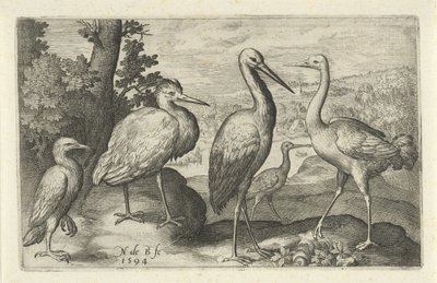 Leylek, vinç, balıkçıl ve kaşıkçı Kuşlar ve böcekler (dizi adı) by Nicolaes de Bruyn