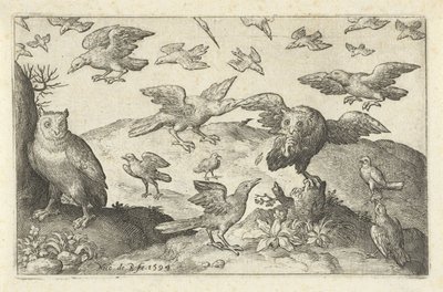 Diğer kuşlar tarafından avlanan baykuş Kuşlar ve böcekler (dizi adı) by Nicolaes de Bruyn
