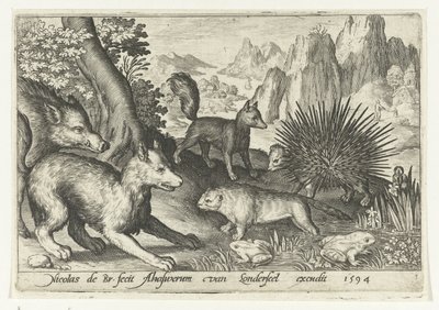 Yaban domuzu, tilki, kunduz, kirpi ve kurbağalar Animalivm qvadrvpedvm (dizi başlığı) Manzaralardaki hayvanlar (dizi başlığı) by Nicolaes de Bruyn