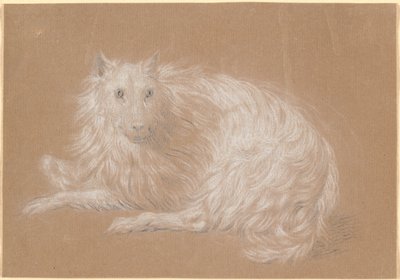 Yalan söyleyen uzun saçlı bir köpek by Nicolai Abildgaard