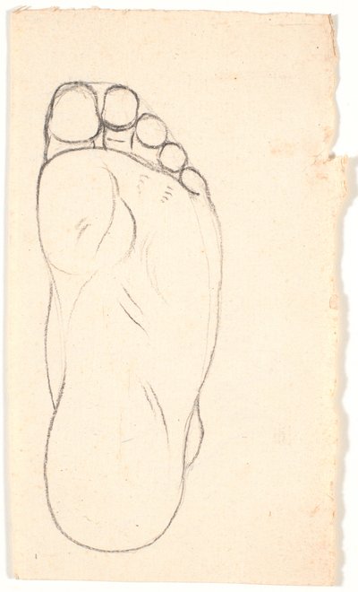 Aşağıdan görülen bir ayağın incelenmesi. topuk t.h. by Nicolai Abildgaard