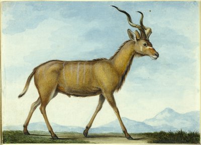  by Nicolas Hüet the Younger