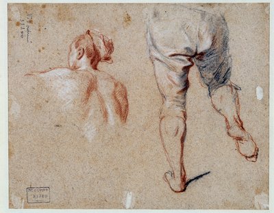 Anatomi çalışması Nicolas Vleughels (1668-1737) tarafından yapılan yağlı boya çizimi 18. yüzyıl Paris, Louvre Müzesi by Nicolas Vleughels
