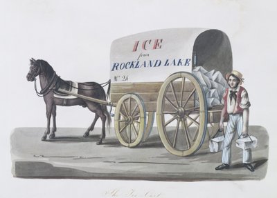 Buz Arabası, 1840-48 by Nicolino Calyo