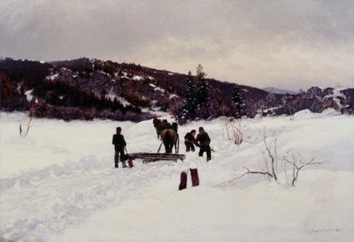 Kar temizleme by Nils Hansteen