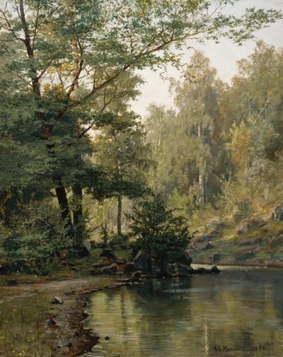  by Nils Hansteen