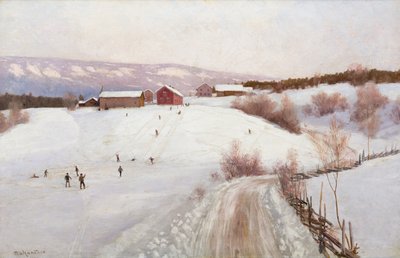 Norveç