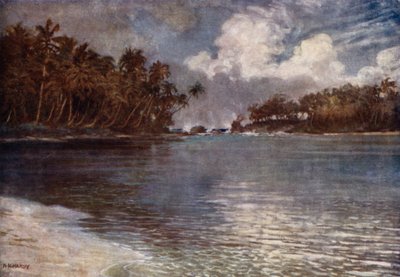 Resif ve Palmiye ile (renkli lito) by Norman Hardy