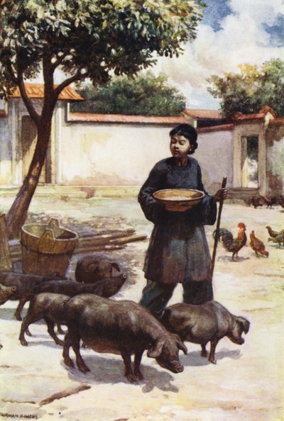 Çin: Bir avlu (renkli taş) by Norman Hardy