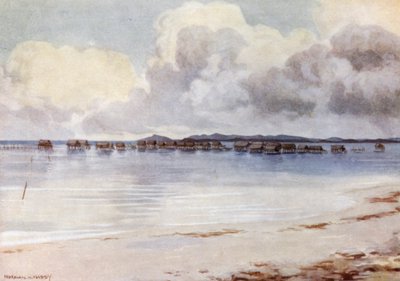 Marine Village, Tupusuli, Britanya Yeni Gine (renkli taş) by Norman Hardy
