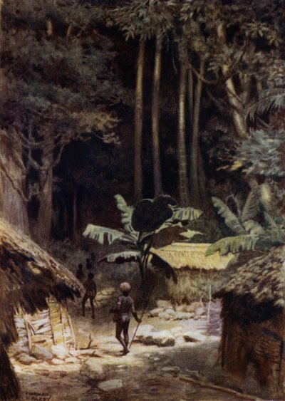 İlkel bir Ormanın Kenarında, Solomon Adaları (renkli taş) by Norman Hardy